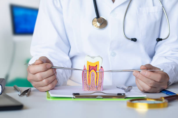 Best Orthodontic Emergency Dentist in Jonesboro, IL